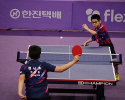 제71회 전국종별탁구선수권대회 출전